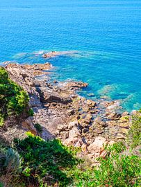 Livorno Baaien