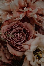 Flowers macro photo by Anouk Strijbos