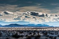 Mojave woestijn -3 van Keesnan Dogger Fotografie thumbnail