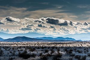 Mojave-Wüste -3
