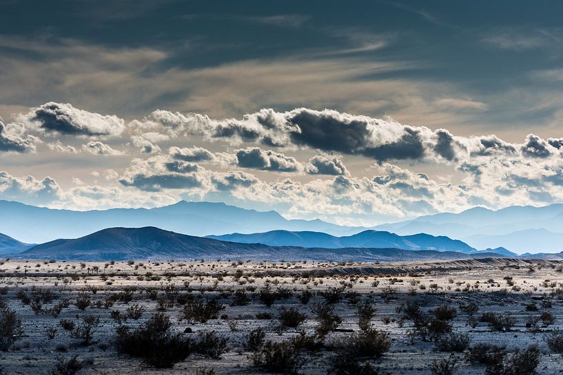 Mojave woestijn -3 van Keesnan Dogger Fotografie