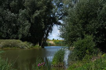 Plas bij Palmerswaard 02 van Cilia Brandts