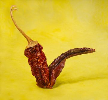 Hot Chili Pepper Vinkje op Geel van Iris Holzer Richardson