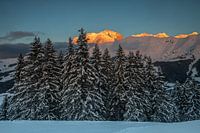 Avondlijke mijmeringen over het Mont Blanc-massief in de winter