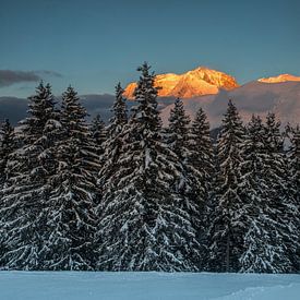 Avondlijke mijmeringen over het Mont Blanc-massief in de winter van jean-michel deborde