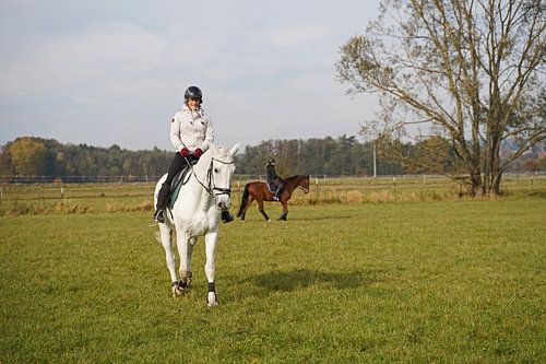 Training met het witte paard op een rijbak in de herfst