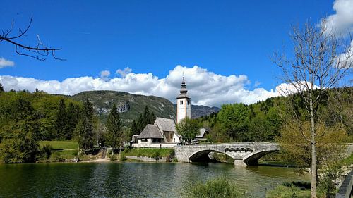 Picturesque village on Lake Bohinj in Triglav National Park