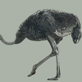 Lopende struisvogel van Awesome Wonder