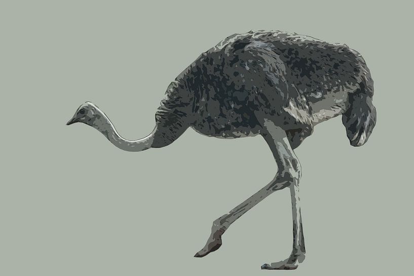 Lopende struisvogel par Awesome Wonder