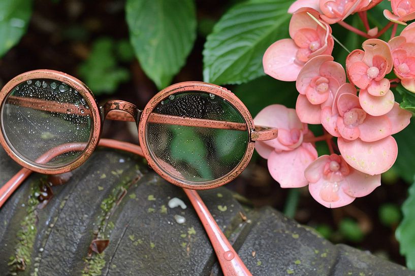 Gläser mit Tautropfen und Blumen von Imperial Art House