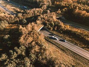 Ökodukt über eine Autobahn in der Veluwe