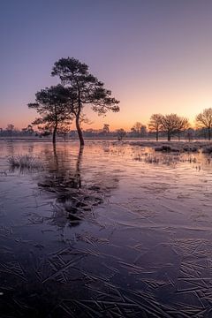 Een winters sprookje van Moetwil en van Dijk - Fotografie