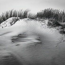 Duinen van Terschelling van Jan Linskens