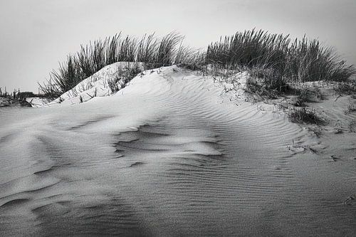 Terschellinger Dünen von Jan Linskens