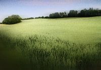 cornflakes landscape