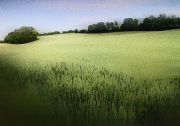 cornflakes landscape von Henk Speksnijder