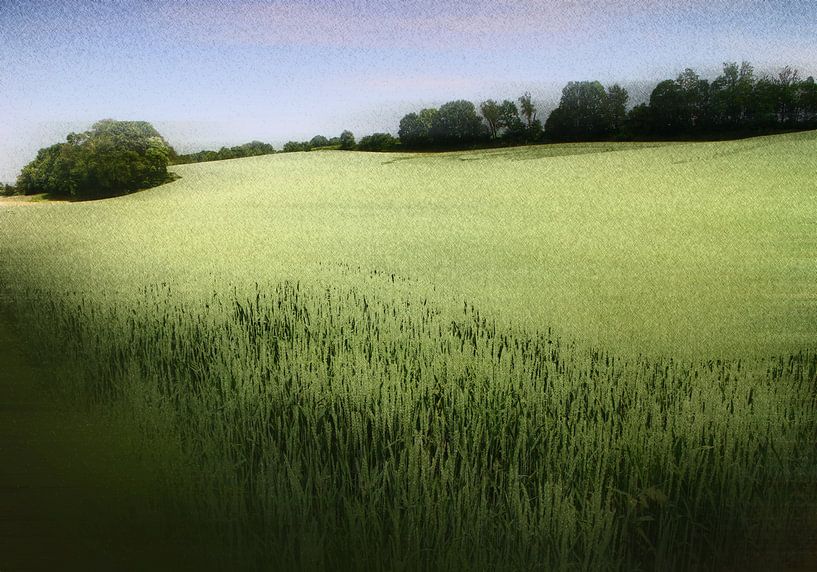 graanlandschap par Henk Speksnijder