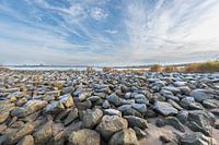 River Waal floodplains ' De Waal"