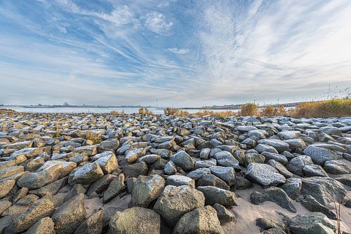 Fluss Waal-Auen ' De Waal"
