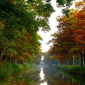 Het Apeldoorns kanaal in de herfst von Edwin van Rossen