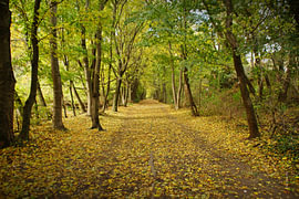 Prater park by Harri Vaher