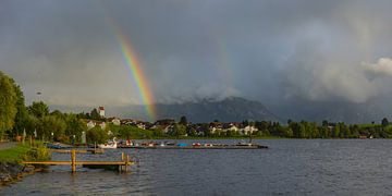 Hopfen am See van Walter G. Allgöwer