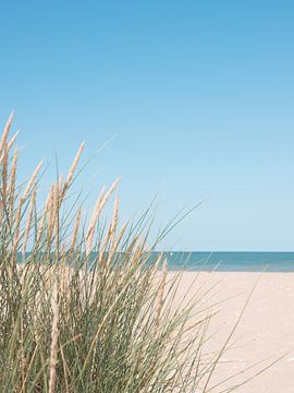 Duingras op het strand in Italie - zomer natuur en reisfotografie van Christa Stroo fotografie