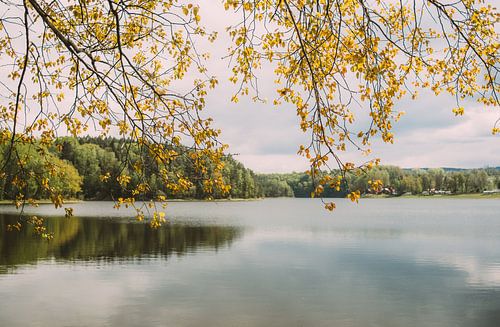 See im zeitigen Frühjahr