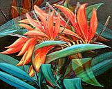 Strelitzia van Gertrud Scheffler thumbnail