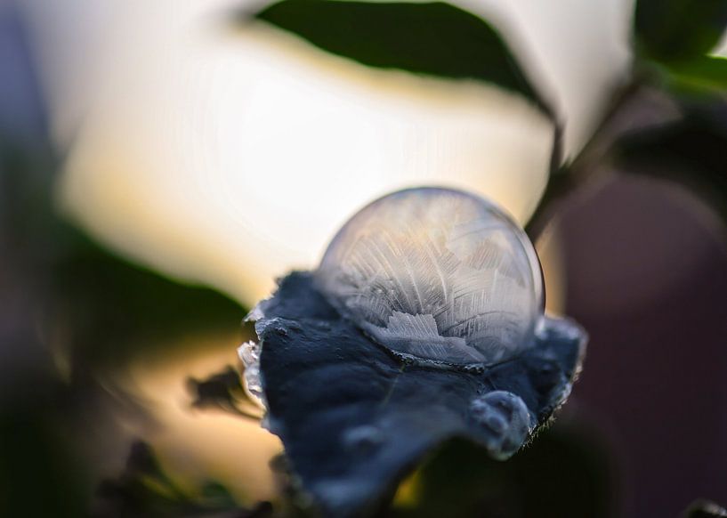 frozen bubble part 3 by Tania Perneel