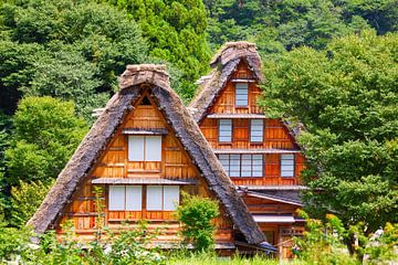 Dorp gelegen in Gifu Prefectuur, Japan van Yevgen Belich