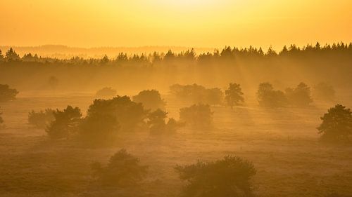 Zonsondergang boven een Veluws landschap