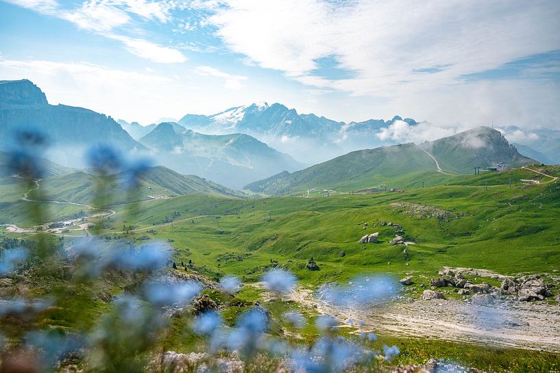 vues montagneuses avec des fleurs bleues par Leo Schindzielorz