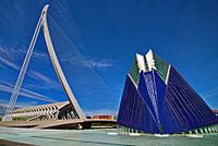 Part of the Calatrava park in Valencia