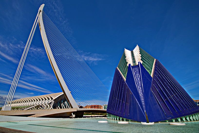 Het Calatrava park in Valencia  van Wim Aalbers