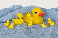 Rubber ducks