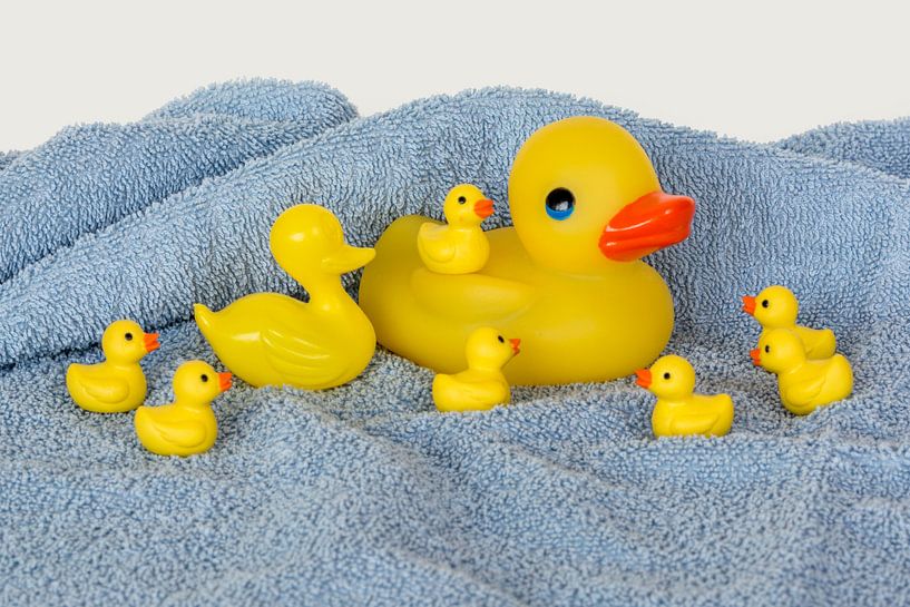 Canard en plastique par Kok and Kok