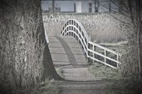 voetgangers en fietsers brug in het bos