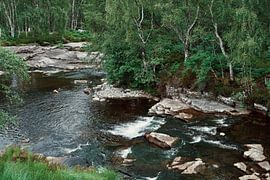 Nature in its Scottish splendour by Consala van  der Griend
