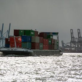 Navire porte-conteneurs transportant des conteneurs à Maasvlakte sur scheepskijkerhavenfotografie