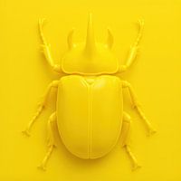 Beetle on Yellow
