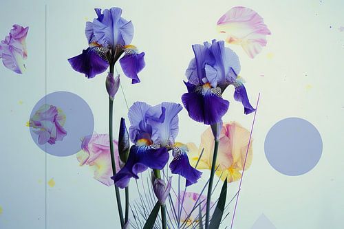 Irissen - Iris kunstwerk