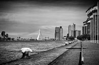Wereldhavenstad Rotterdam van Rick Van der Poorten thumbnail