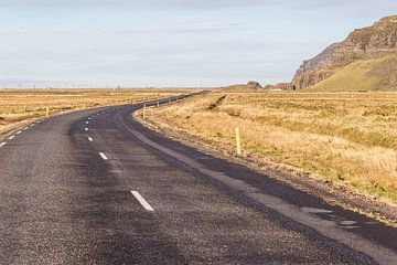 de hoofdweg in het zuiden van IJsland van Eric van Nieuwland