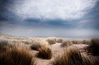Duinen van Saskia Staal thumbnail