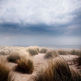 dunes sur Saskia Staal