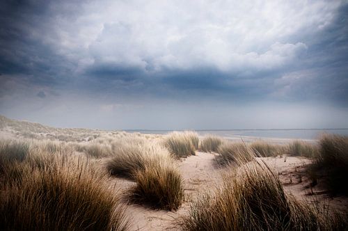 dunes by Saskia Staal