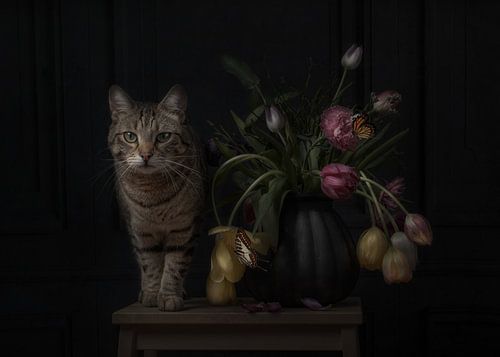 Chat, fleur, papillon sur Christa van Gend