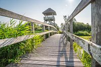 The bridge to the watchtower