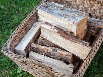 Brennholz für den Kamin in einem Korb von Animaflora PicsStock